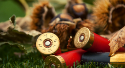 La RFEC pide a los cazadores que participen en el estudio sobre el impacto socioeconómico de la prohibición de la munición de plomo en la caza